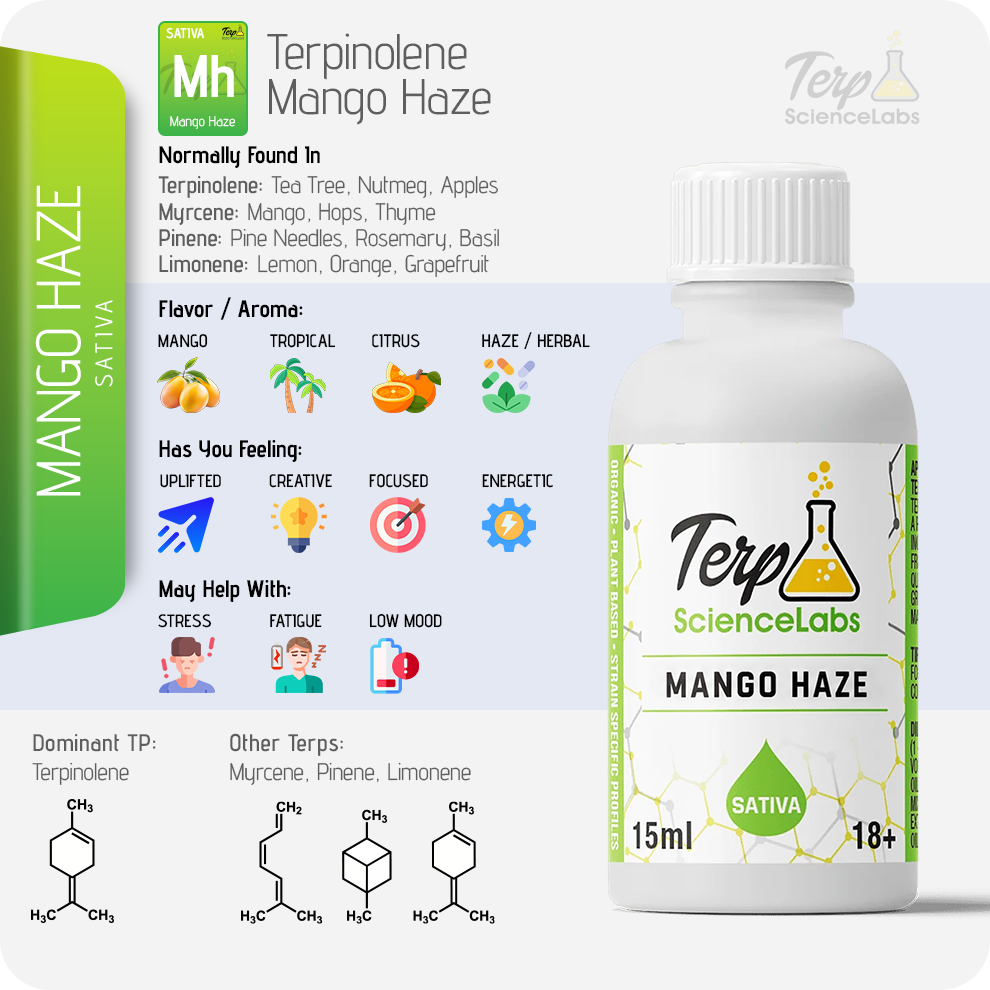 Mango Haze Terpenes
