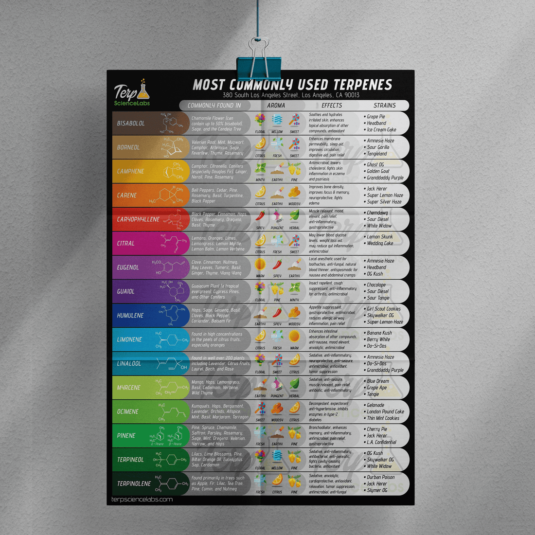 Terpenes Labels Common Terpenes Poster – Terp Science Labs