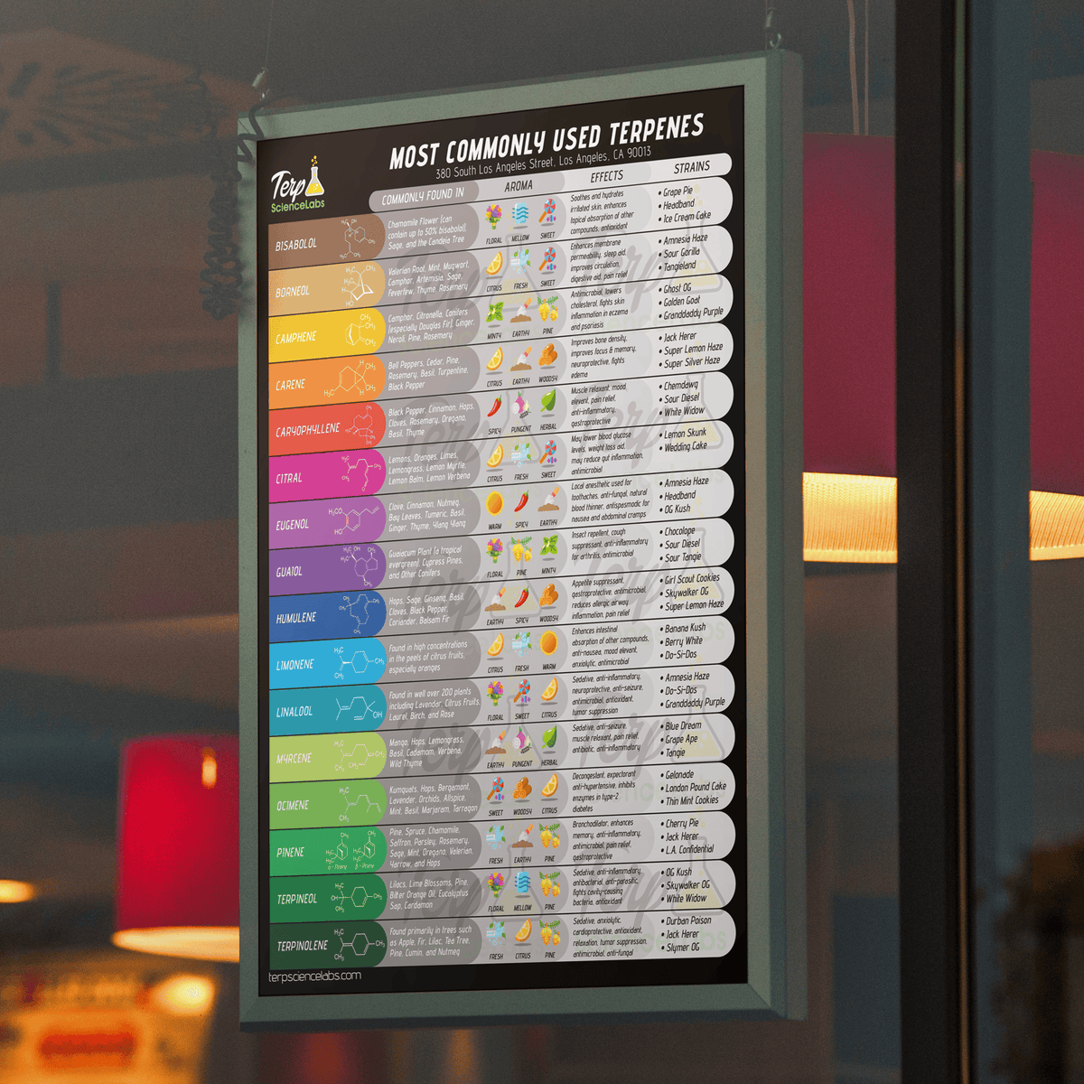 Terpenes Labels Common Terpenes Poster – Terp Science Labs