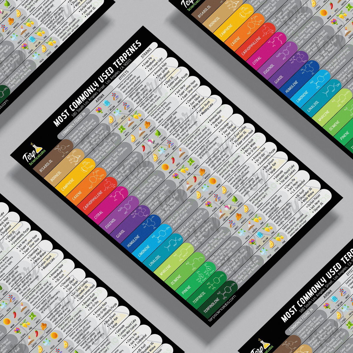 Terpenes Labels Common Terpenes Poster – Terp Science Labs