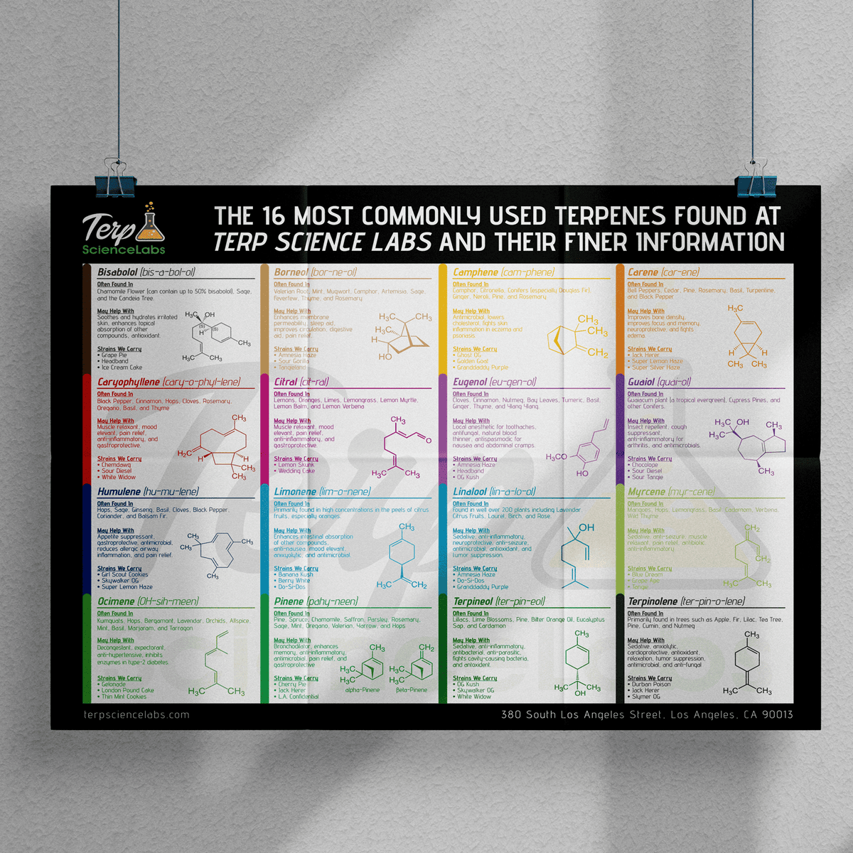 Terpenes Labels 16 Common Terpenes Poster – Terp Science Labs