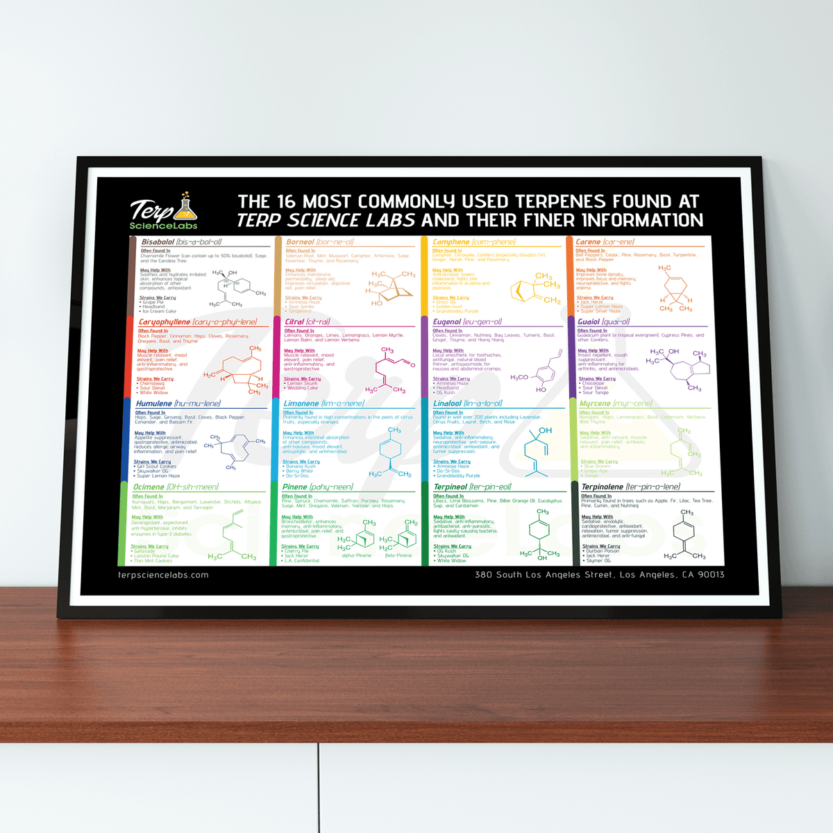 Terpenes Labels 16 Common Terpenes Poster – Terp Science Labs