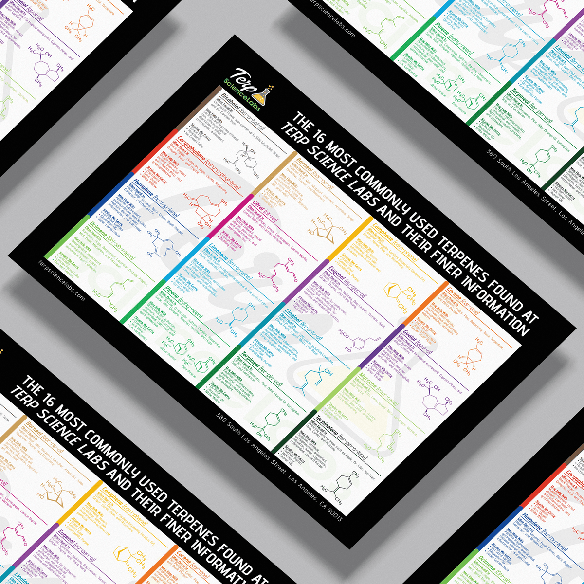 Terpenes Labels 16 Common Terpenes Poster – Terp Science Labs