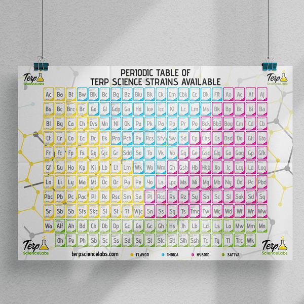 Periodic Table Of Terpenes (White) – Terp Science Labs