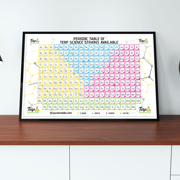 Periodic Table Of Terpenes (White) – Terp Science Labs
