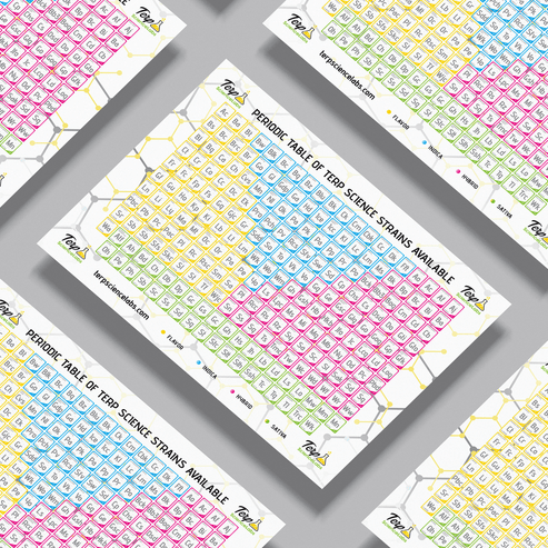 Periodic Table Of Terpenes (White) – Terp Science Labs