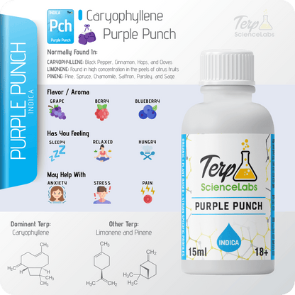 Purple Punch Terpenes – Terp Science Labs Purple Punch Terpenes – Terp Science Labs